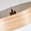 PNTRESINA Pendant Light matt nickel, 1-light source