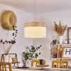 PNTRESINA Pendant Light matt nickel, 1-light source