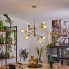 NOVILLEROS Pendant Light brass, 8-light sources