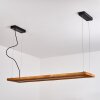 BLANDFORD Pendant Light LED black, 1-light source, Remote control