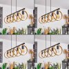 HICKMANN Pendant Light black, 5-light sources