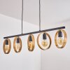 HICKMANN Pendant Light black, 5-light sources