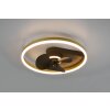 Reality BORGHOLM ceiling fan LED gold, black, 1-light source, Remote control
