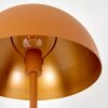 VIVIAN Floor Lamp orange, 1-light source