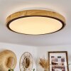CORINTO Ceiling Light LED Ecru, black, 1-light source