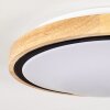 CORINTO Ceiling Light LED Ecru, black, 1-light source