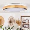 CORINTO Ceiling Light LED Ecru, black, 1-light source