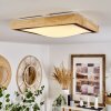 CORINTO Ceiling Light LED Ecru, black, 1-light source