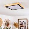 CORINTO Ceiling Light LED Ecru, black, 1-light source