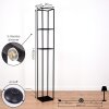 RANQUILE Floor Lamp LED black, 4-light sources