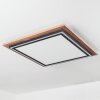 BLANDFORD Ceiling Light LED brown, Wood like finish, 2-light sources, Remote control