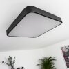 Batamoto Ceiling Light LED black, white, 2-light sources, Remote control, Colour changer