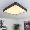 Batamoto Ceiling Light LED black, white, 2-light sources, Remote control, Colour changer