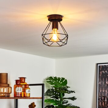 Denno Ceiling Light black, 1-light source