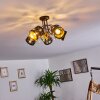 Trasancos Ceiling Light black, 5-light sources