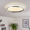 Alberton Ceiling Light LED chrome, transparent, clear, white, 1-light source