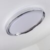 Alberton Ceiling Light LED chrome, transparent, clear, white, 1-light source
