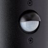 Brilliant SERGIORO Outdoor Wall Light anthracite, 1-light source, Motion sensor