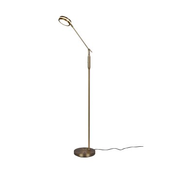 Trio FRANKLIN Floor Lamp LED antique brass, 1-light source