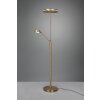 Trio FRANKLIN Floor Lamp LED antique brass, 2-light sources