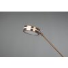 Trio FRANKLIN Floor Lamp LED antique brass, 2-light sources