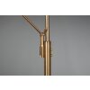 Trio FRANKLIN Floor Lamp LED antique brass, 2-light sources
