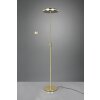Trio FRANKLIN Floor Lamp LED brass, 2-light sources