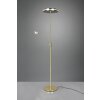 Trio FRANKLIN Floor Lamp LED brass, 2-light sources