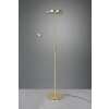 Trio FRANKLIN Floor Lamp LED brass, 2-light sources
