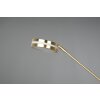 Trio FRANKLIN Floor Lamp LED brass, 2-light sources