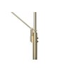 Trio FRANKLIN Floor Lamp LED brass, 2-light sources