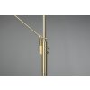 Trio FRANKLIN Floor Lamp LED brass, 2-light sources