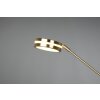 Trio FRANKLIN Floor Lamp LED brass, 2-light sources