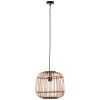 Brilliant NIKKA Pendant Light black, 1-light source
