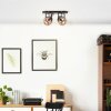 Brilliant NIKKA Ceiling Light black, 2-light sources
