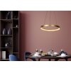Lucide VIDAL Pendant Light LED brass, 1-light source