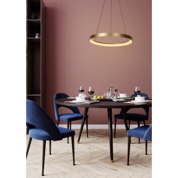 Lucide VIDAL Pendant Light LED brass, 1-light source