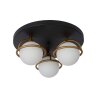 Lucide ISOBEL Ceiling Light black, 3-light sources