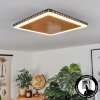 GUACACALLO Ceiling Light LED gold, black, white, 1-light source