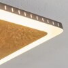 GUACACALLO Ceiling Light LED gold, black, white, 1-light source