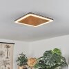 GUACACALLO Ceiling Light LED gold, black, white, 1-light source