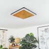 GUACACALLO Ceiling Light LED gold, black, white, 1-light source