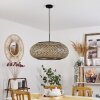 ALAVI Pendant Light black, 1-light source