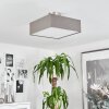 TABOGA Ceiling Light matt nickel, 2-light sources