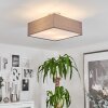 TABOGA Ceiling Light matt nickel, 2-light sources