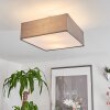 TABOGA Ceiling Light matt nickel, 2-light sources