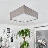TABOGA Ceiling Light matt nickel, 2-light sources