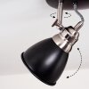 GRALINGEN Ceiling Light matt nickel, black, 3-light sources