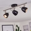 MOESDORF Ceiling Light matt nickel, black, 3-light sources