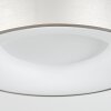 PLAYAS Ceiling Light LED silver, white, 1-light source